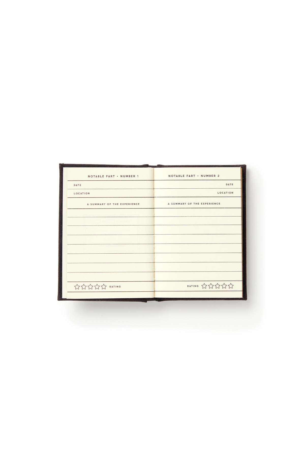 A Tiny Fart Diary