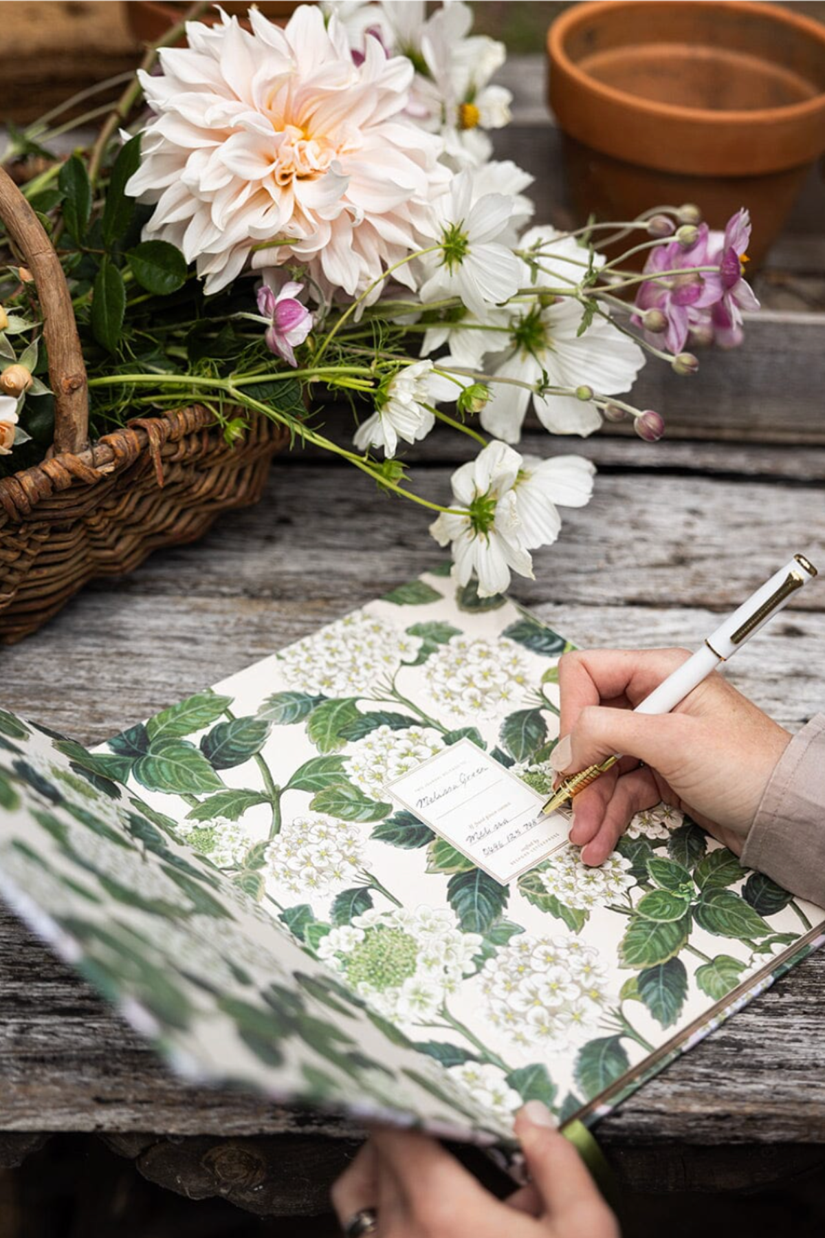 Heirloom Gardening Journal Hydrangea