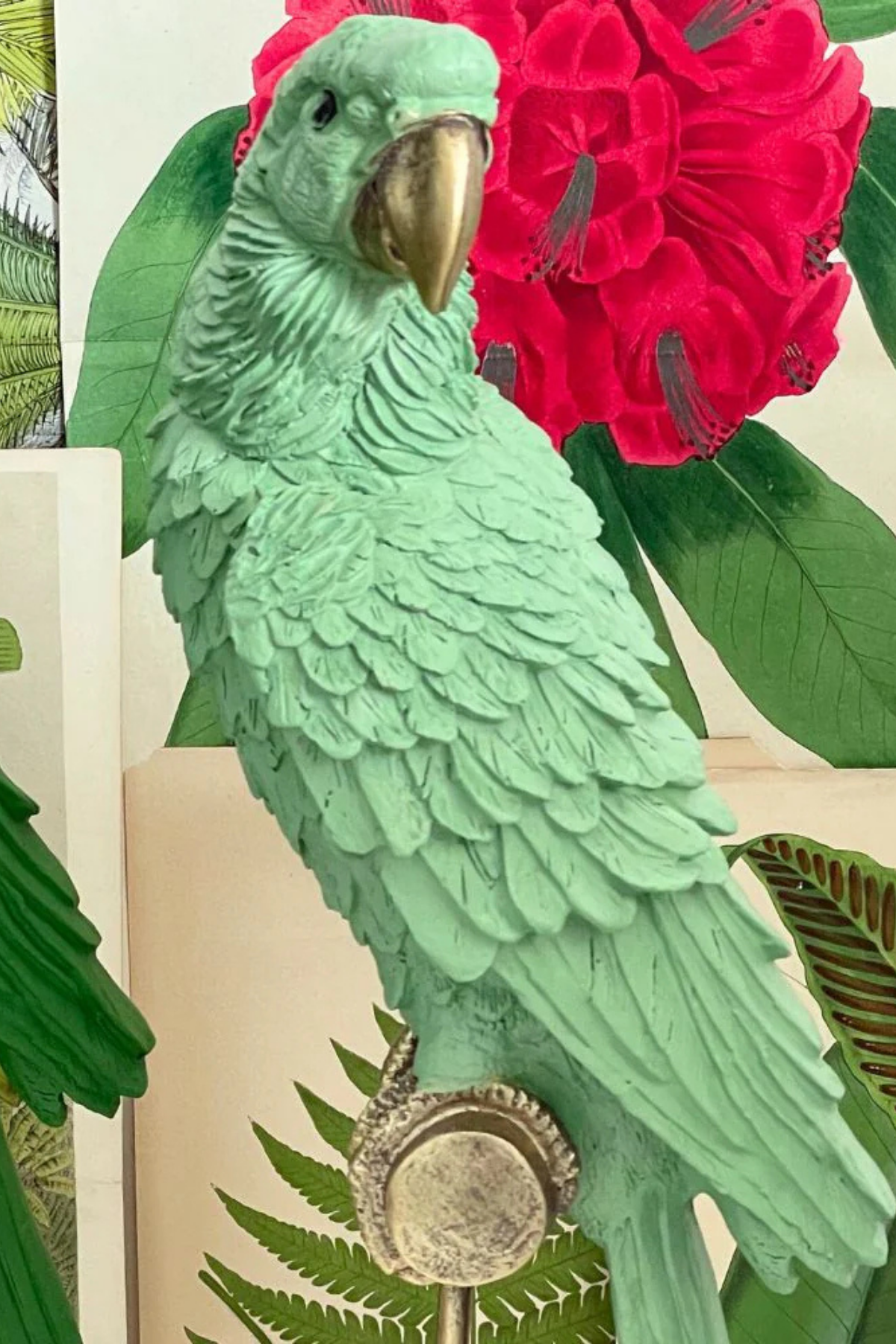 Ornithology Avairy Perroquet Royale