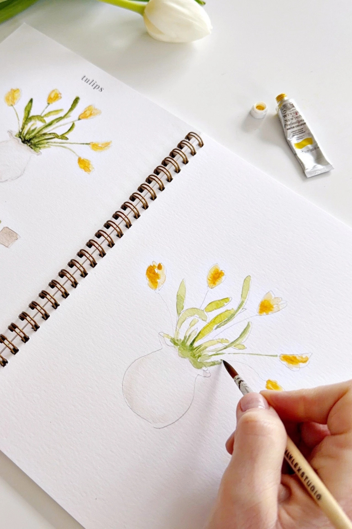 Spring Watercolour Workbook