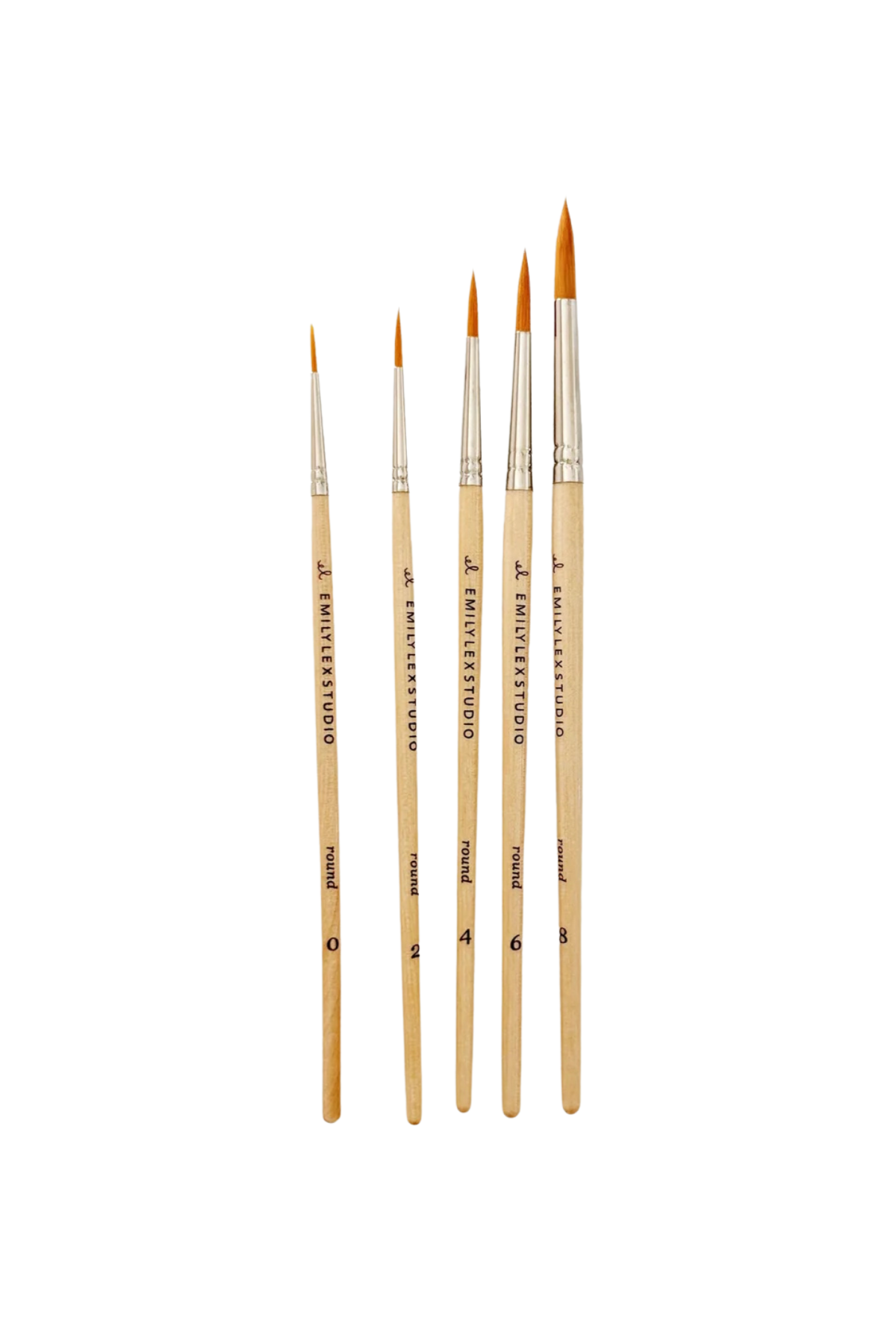 Watercolour Paintbrush Set of Five Wood