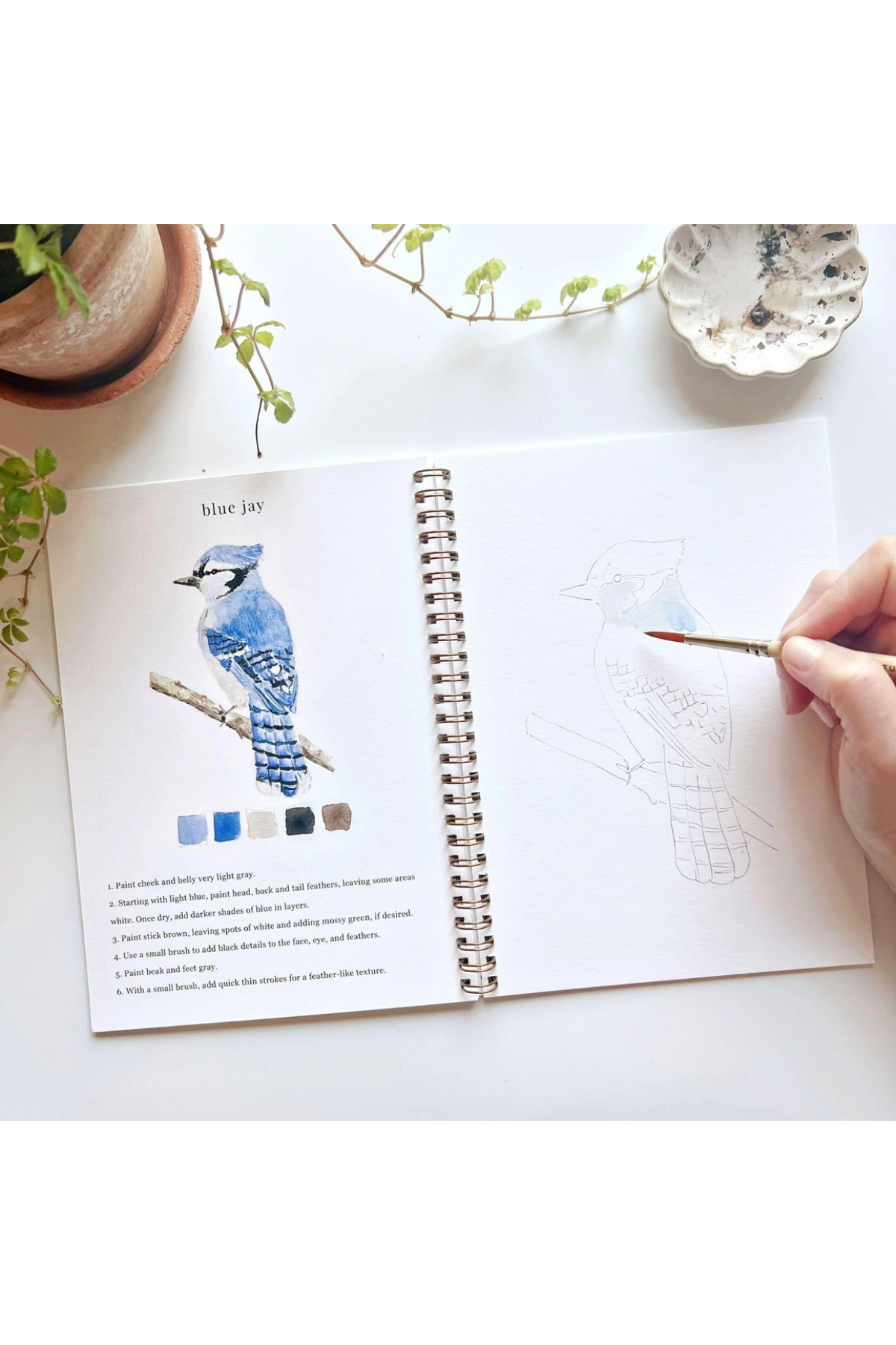 Birds Watercolour Workbook