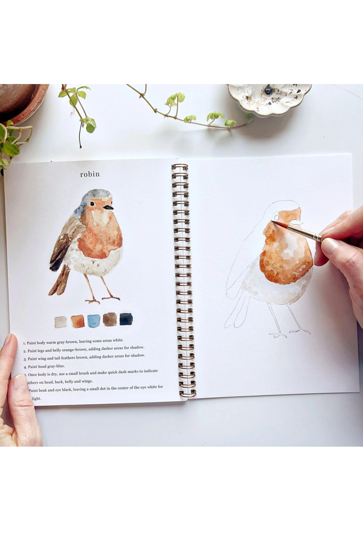 Birds Watercolour Workbook