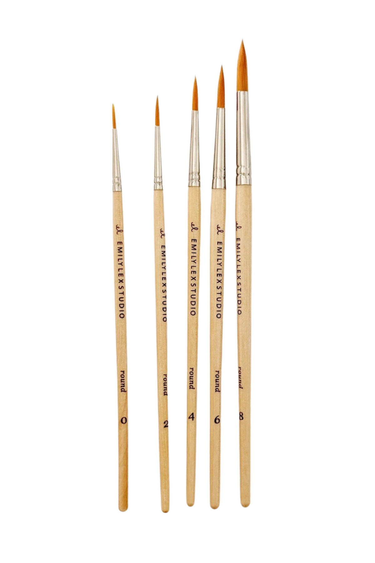 Watercolour Paintbrush Set of Five Wood