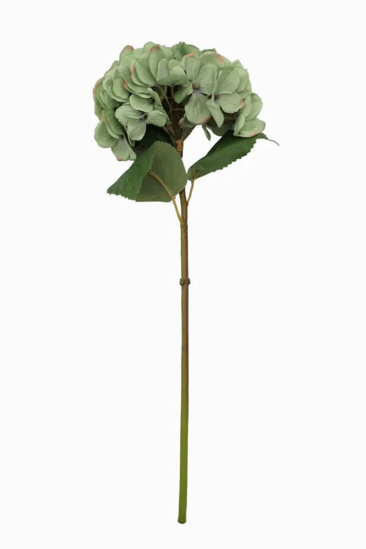 Hydrangea Stem Blue Green 52cm