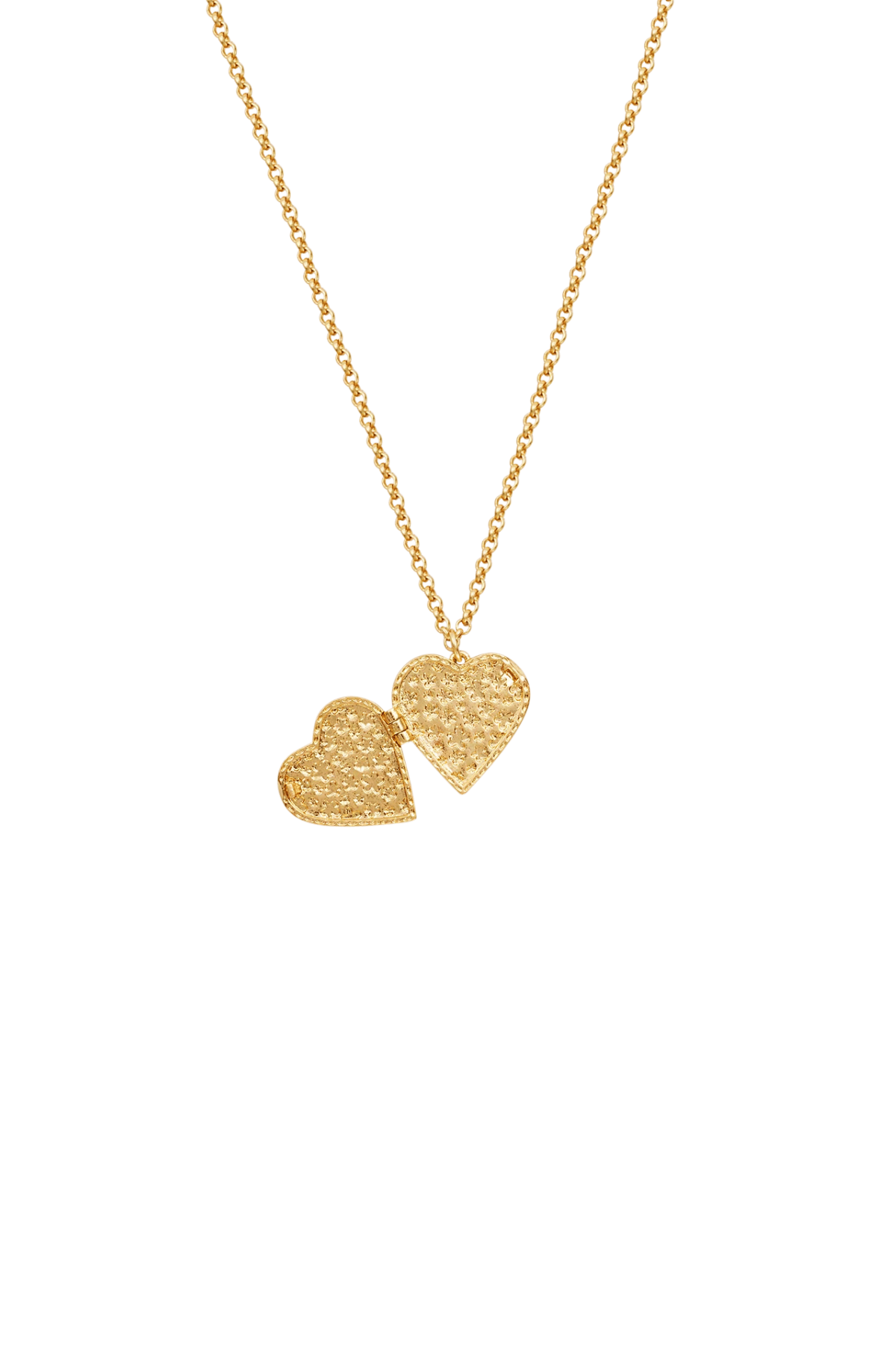 Forget Me Not Locket Necklace Gold