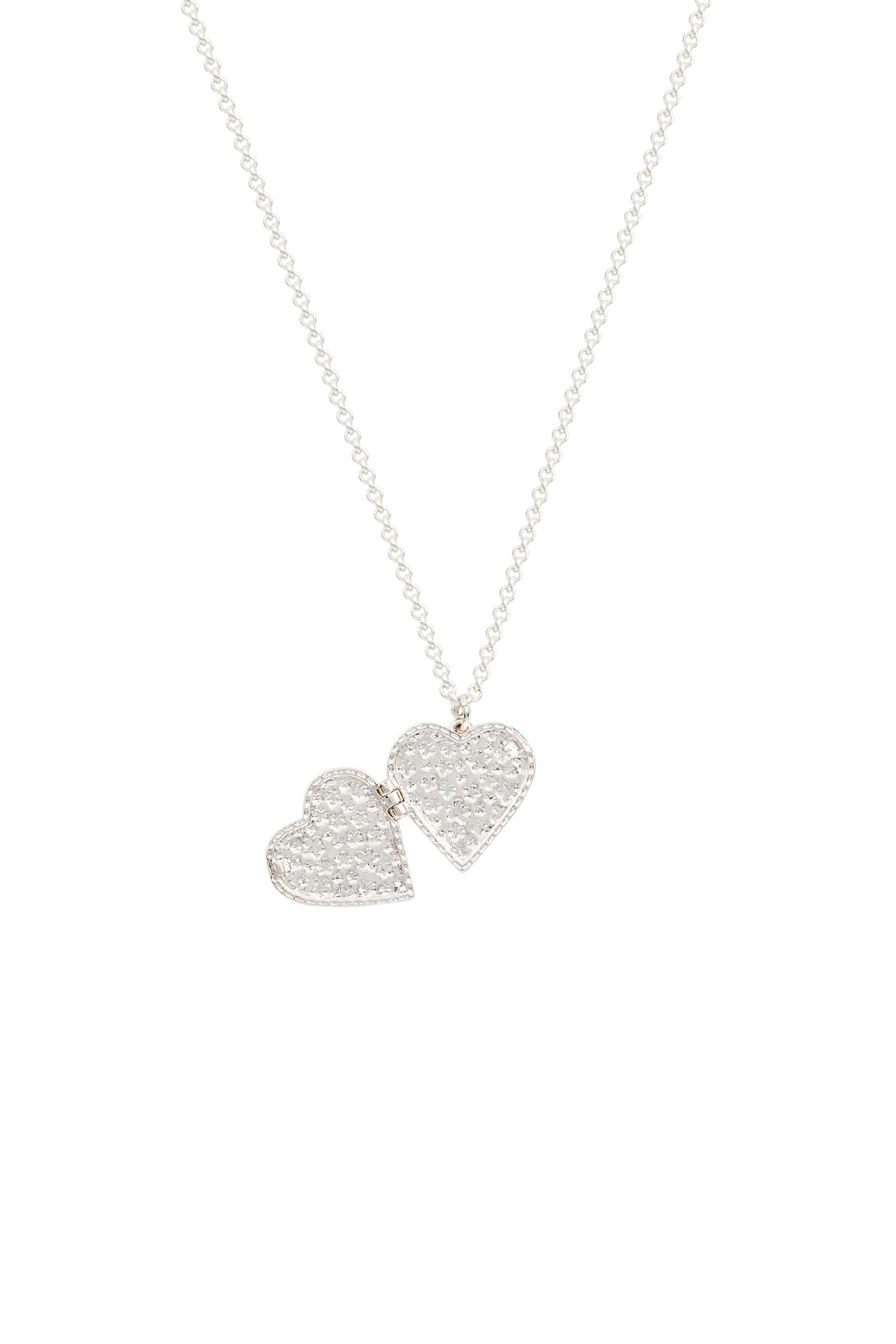 Forget Me Not Locket Necklace Silver