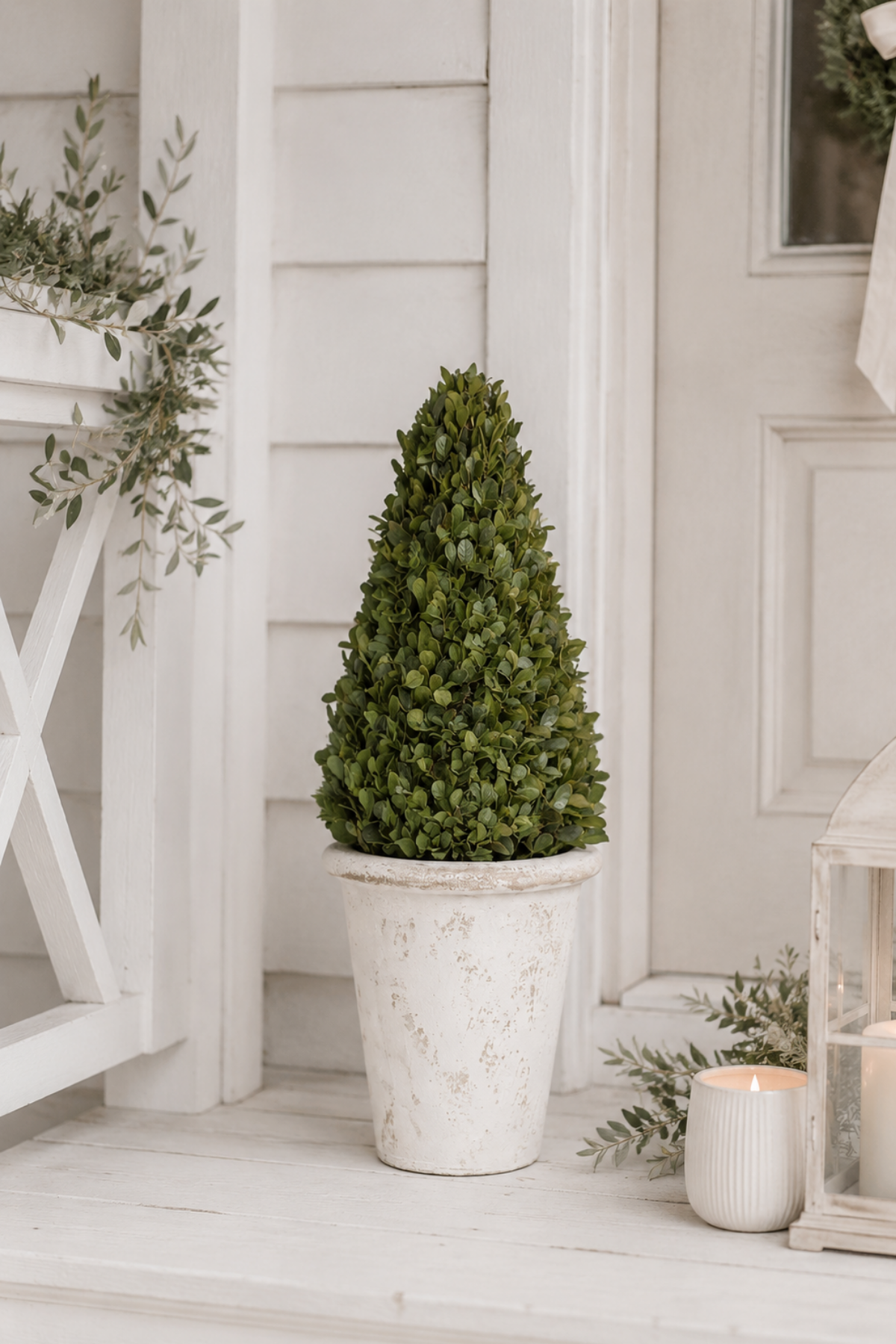 Preserved Boxwood Cone Tree Topiary in Terracotta