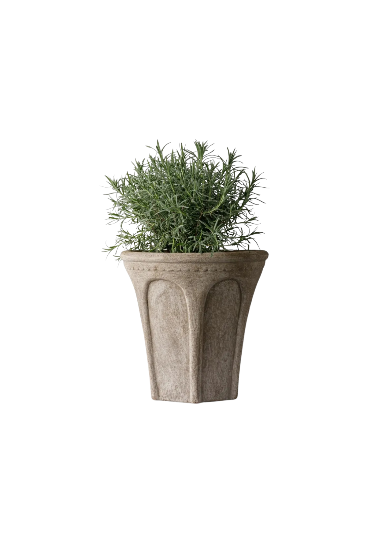 Terra Arc Planter Medium