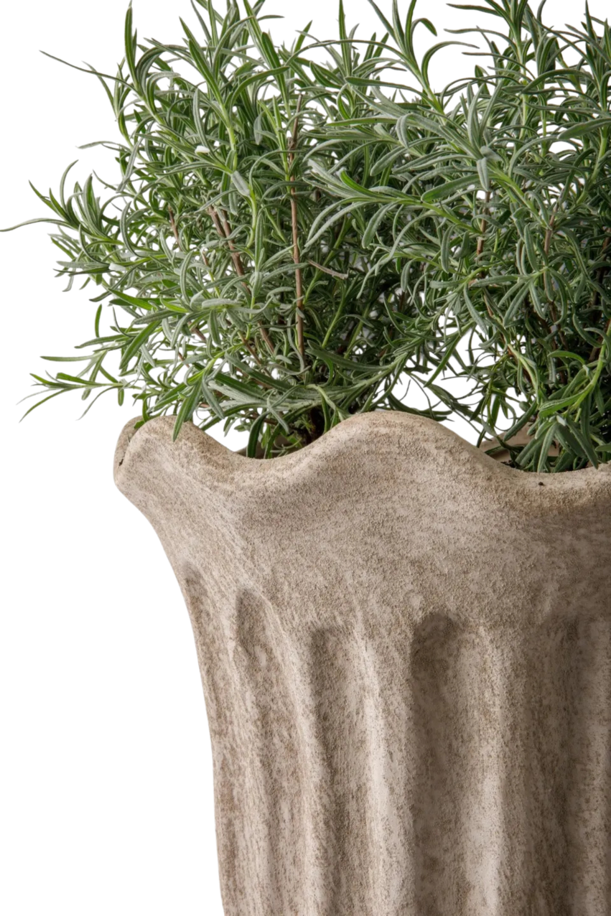 Terra Fluted Planter Large