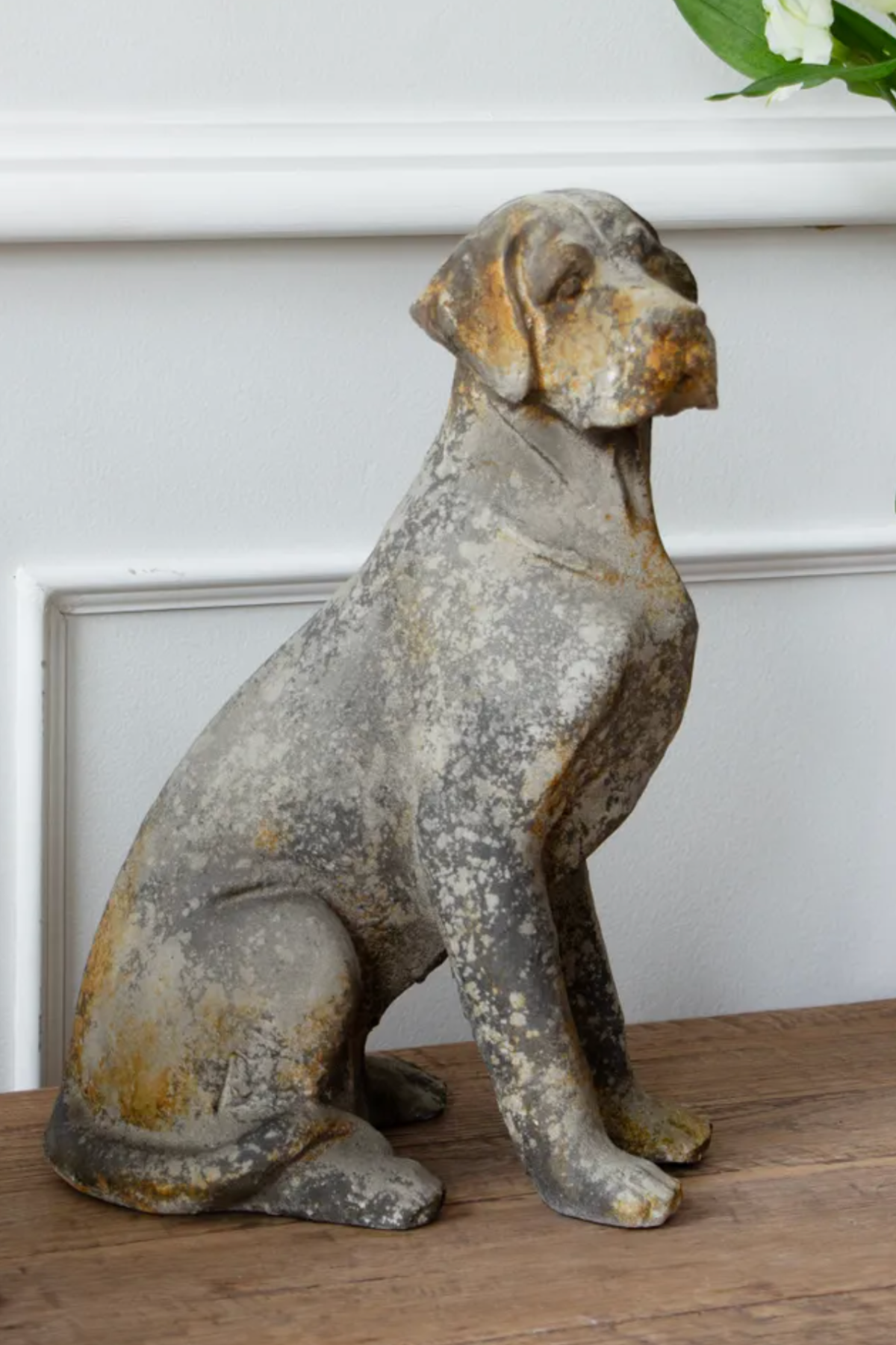 Baron Dog