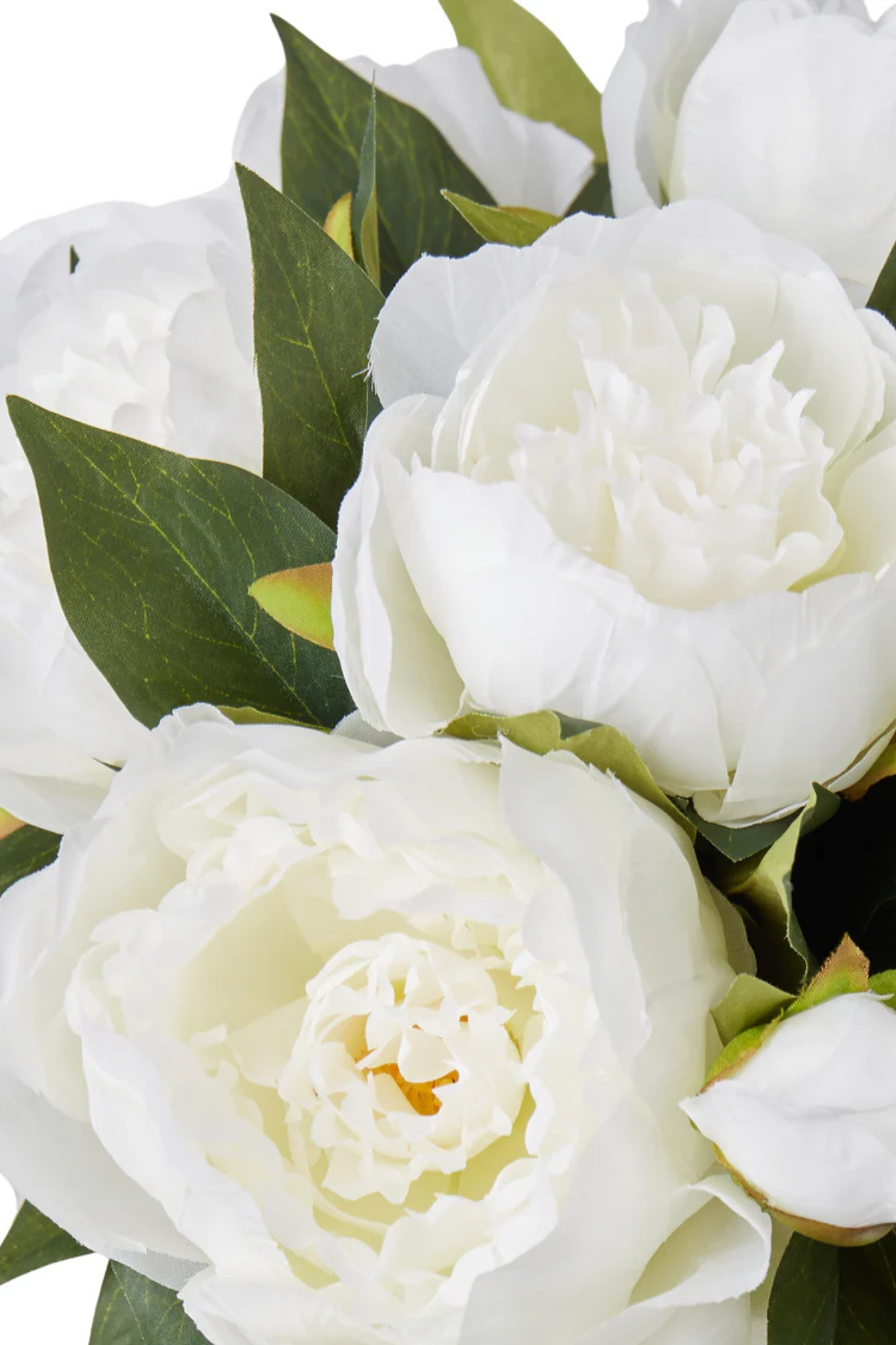Rogue Peony Classic Bowl White