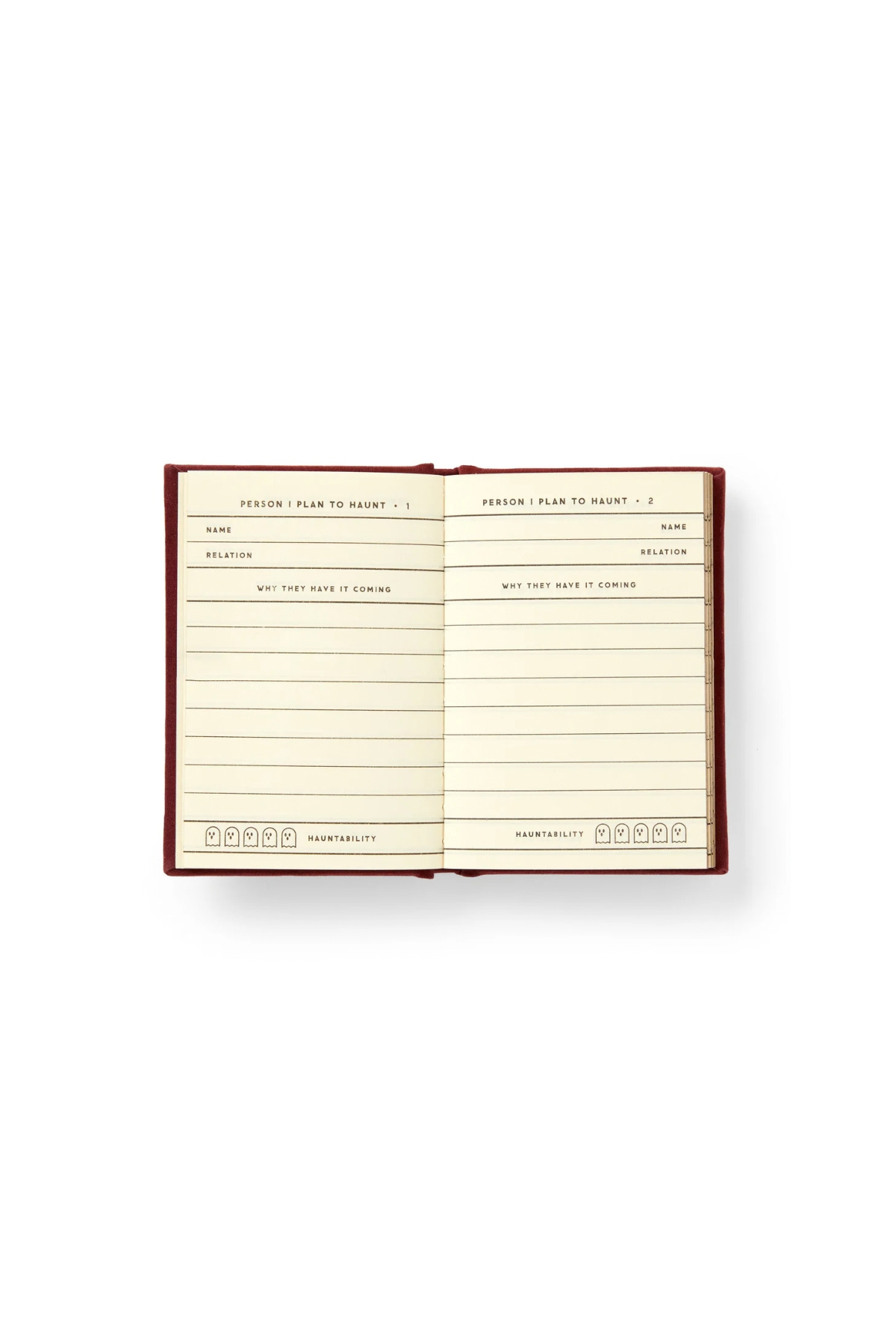People I Plan To Haunt Tiny Diary