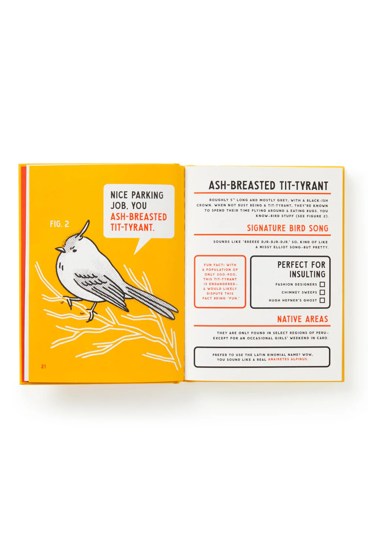 Birds That Sound Like Insults Book
