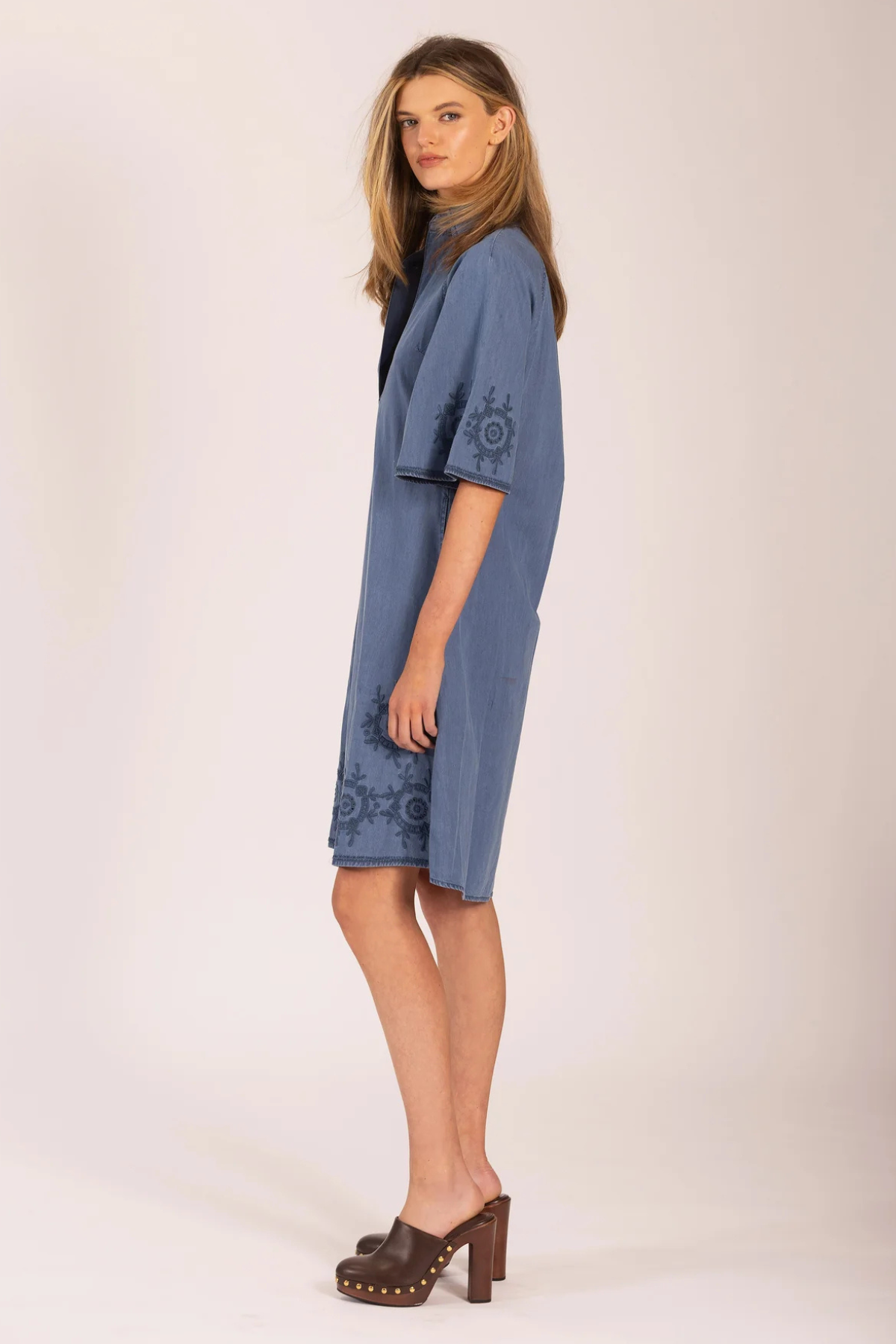 Jones Denim Dress