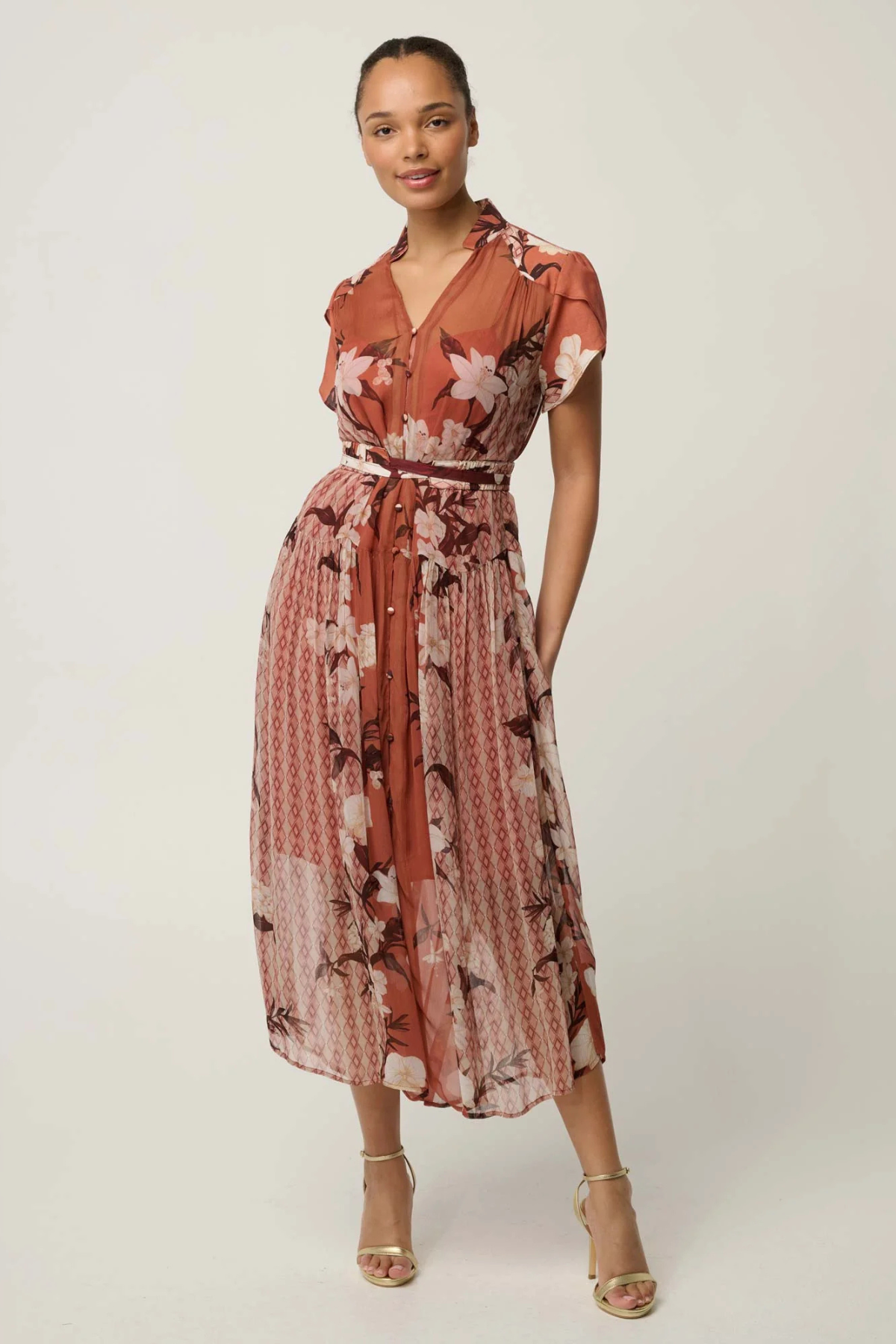 Perla Sheer Print Dress