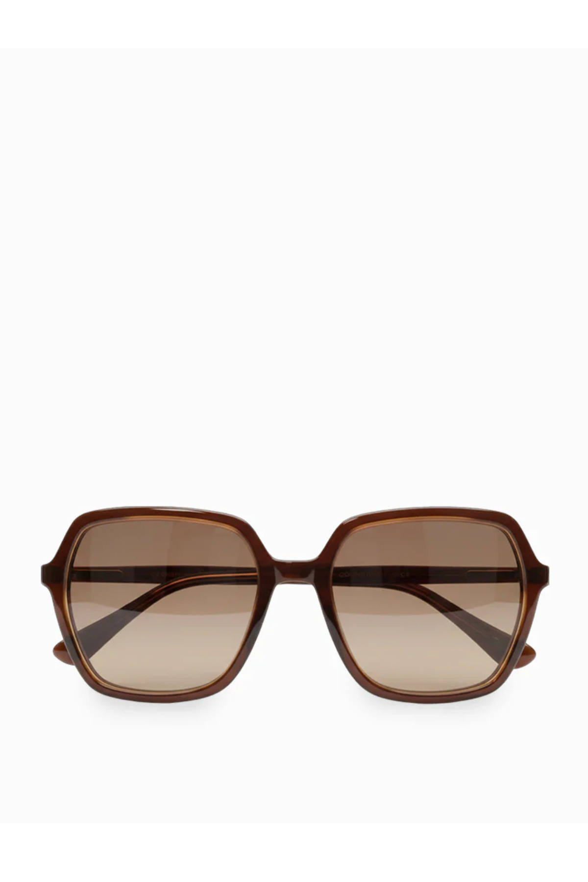 Logan Sunglasses Brown