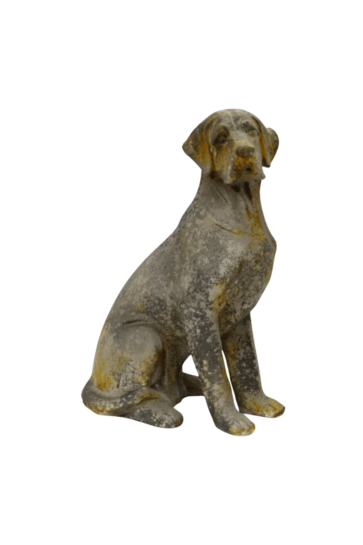 Baron Dog