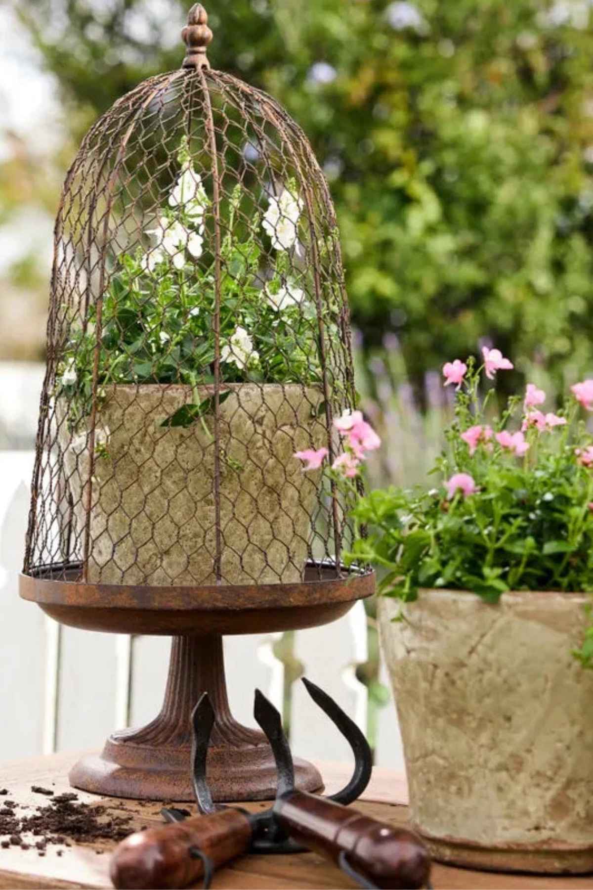 French Country