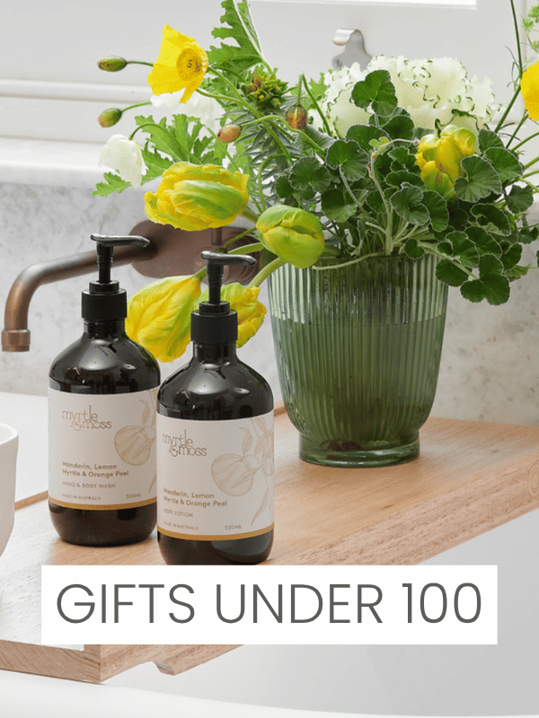 Gifts Under $100
