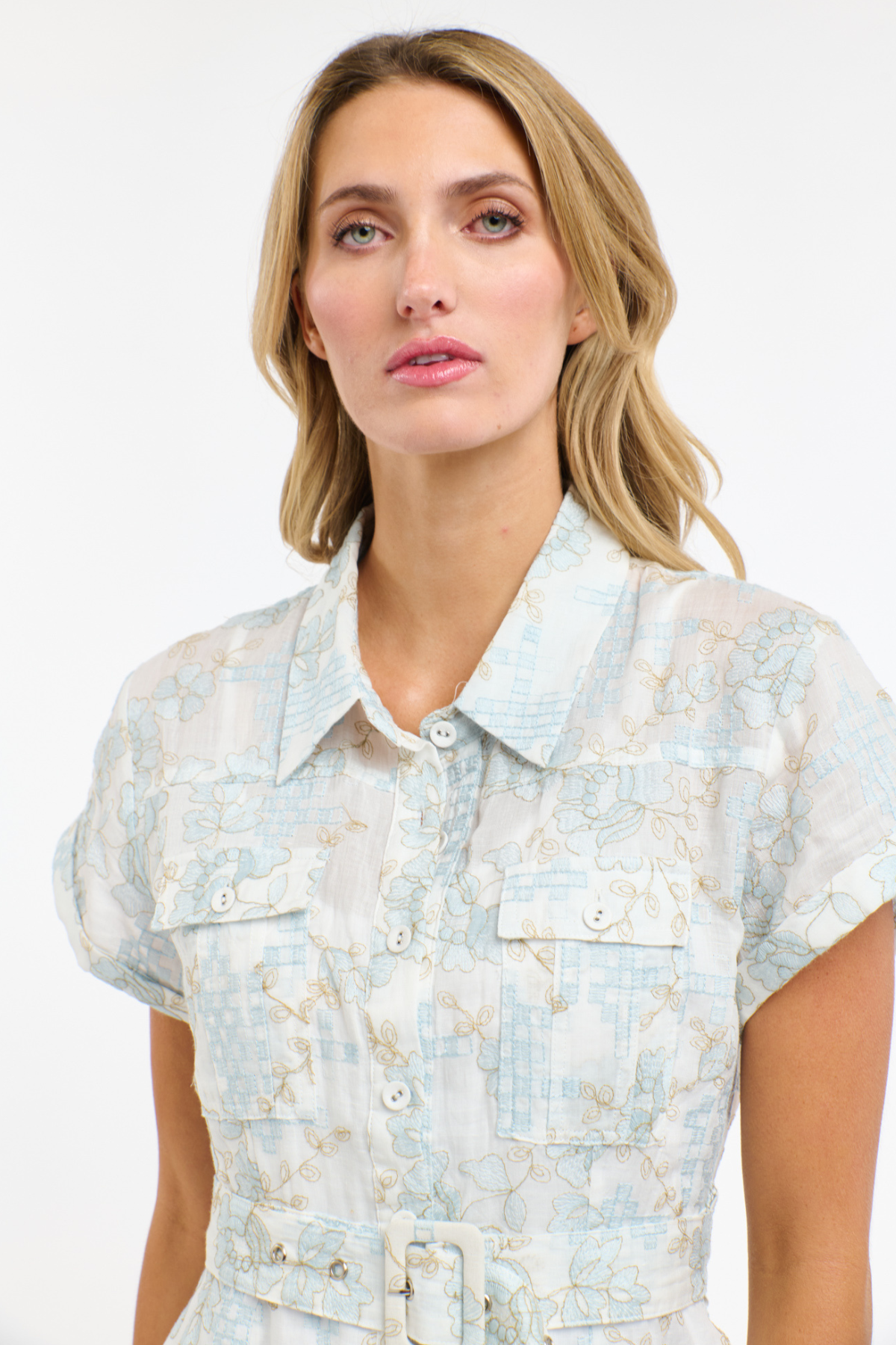 Amelia Embroidered Dress