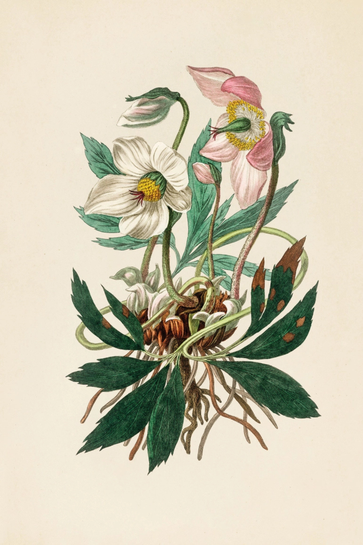 Practical Guide To Magic In Nature