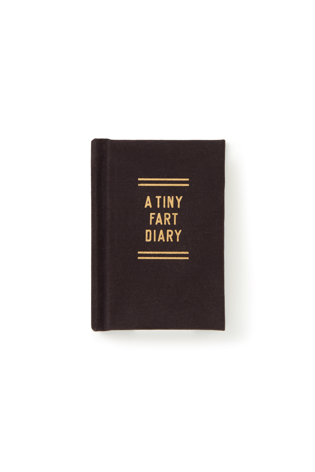 A Tiny Fart Diary