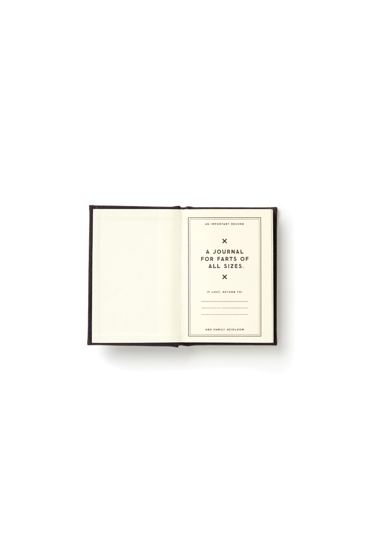 A Tiny Fart Diary