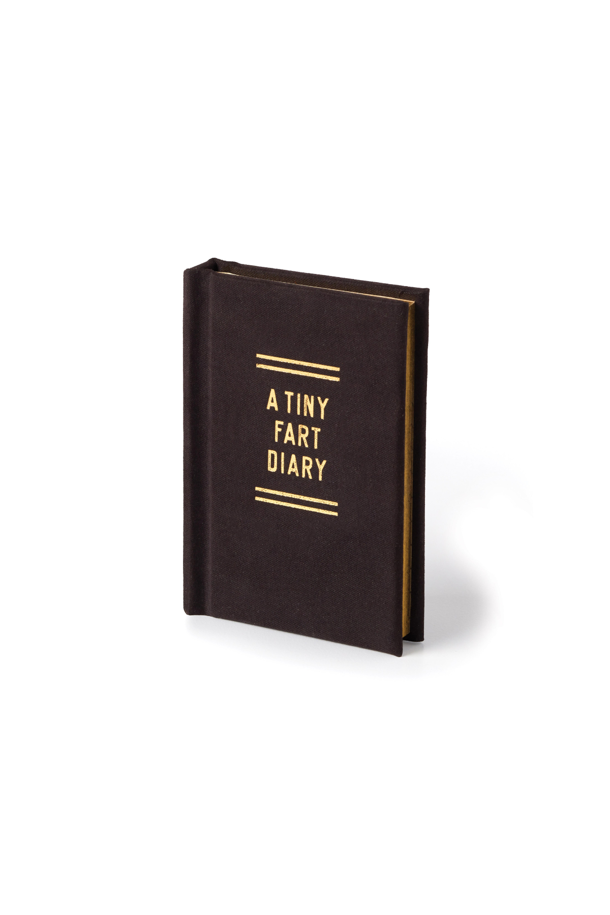 A Tiny Fart Diary