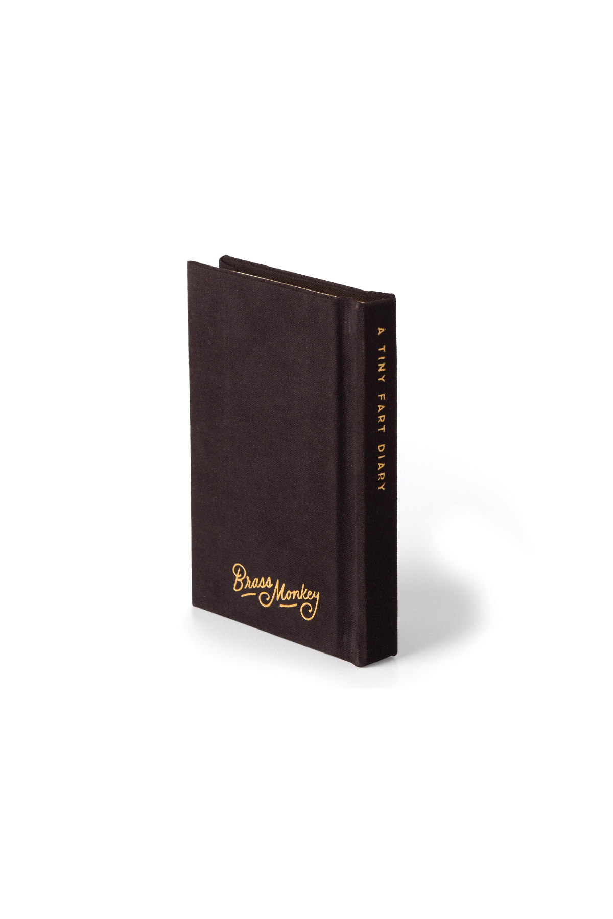 A Tiny Fart Diary