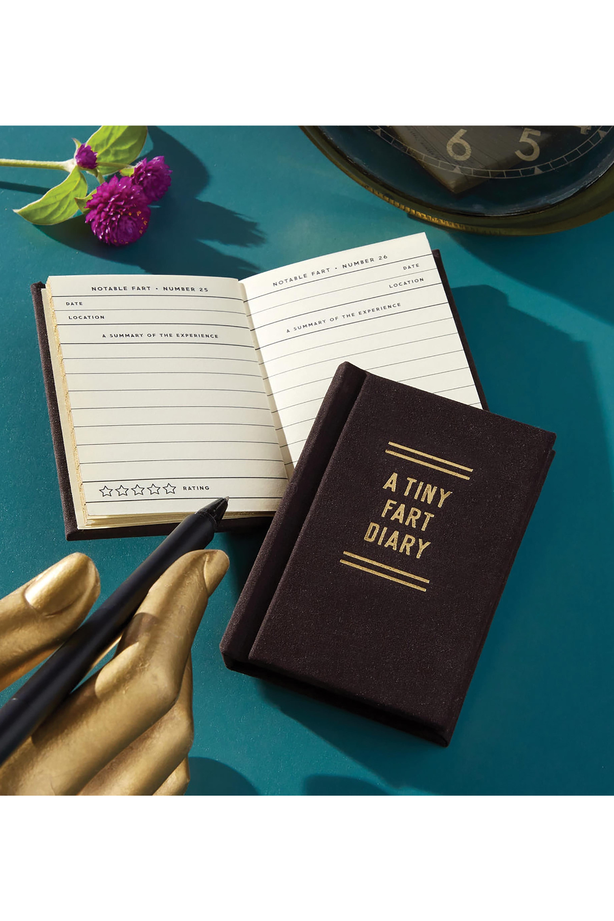 A Tiny Fart Diary