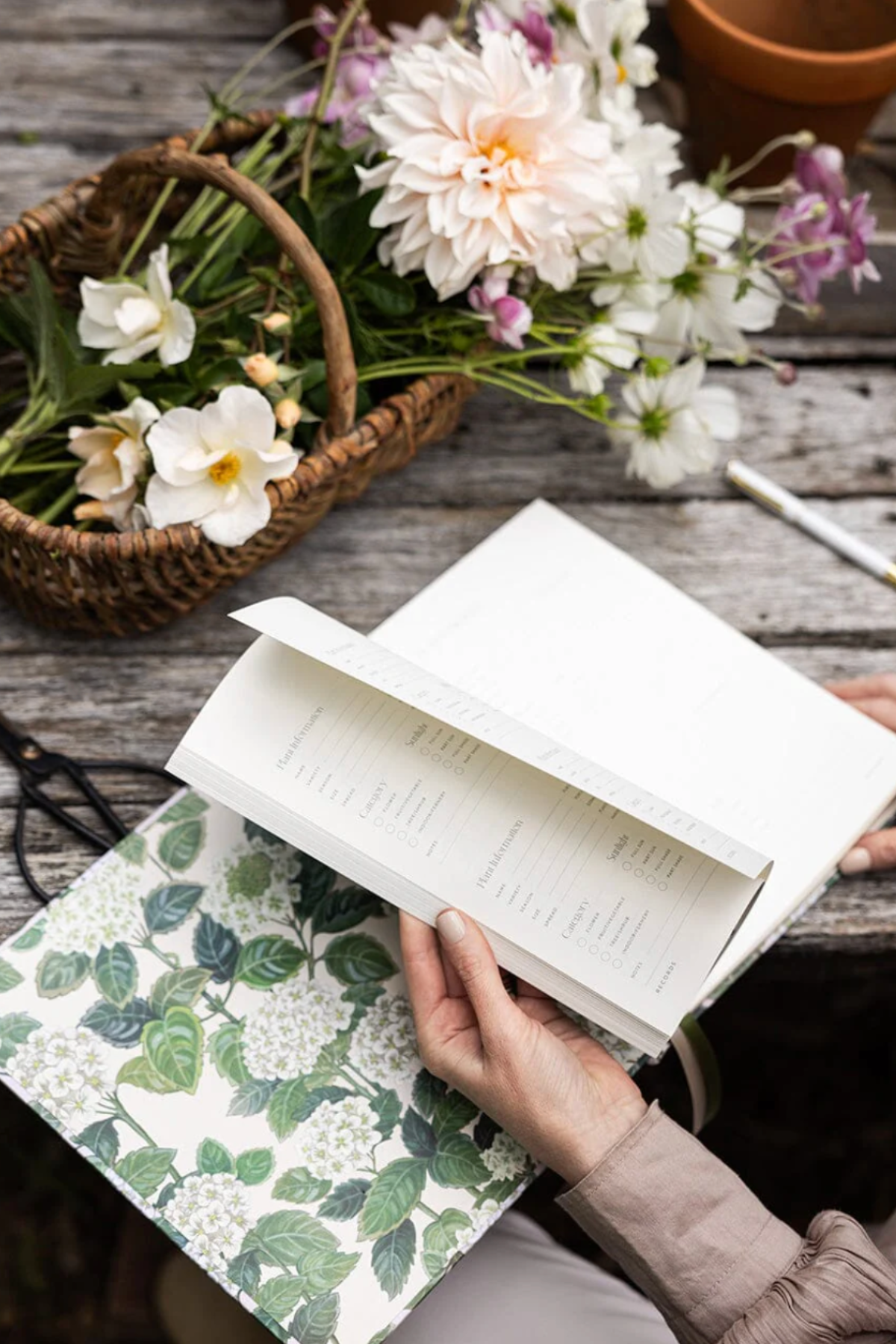 Heirloom Gardening Journal Hydrangea