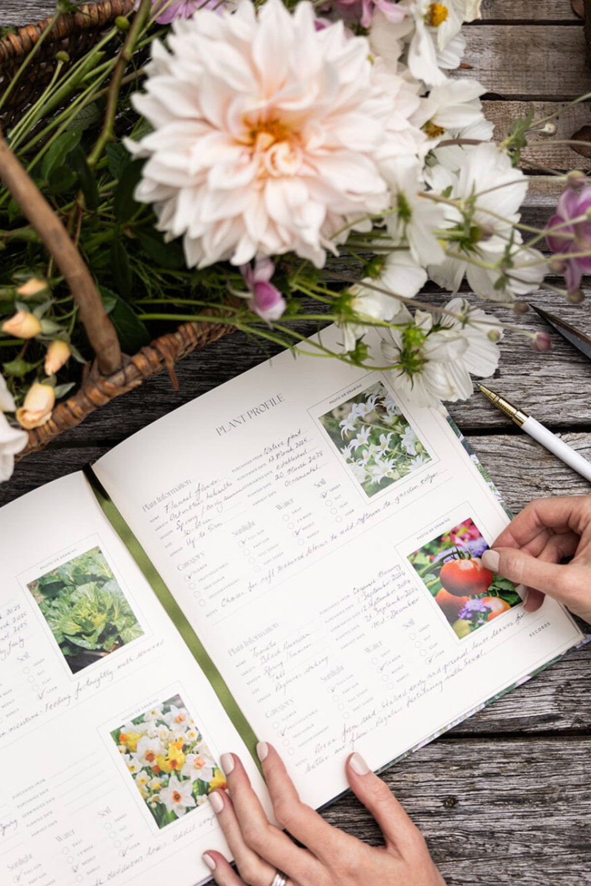 Heirloom Gardening Journal Hydrangea