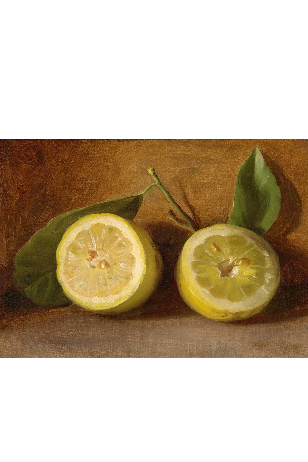 Art Print - Lemons