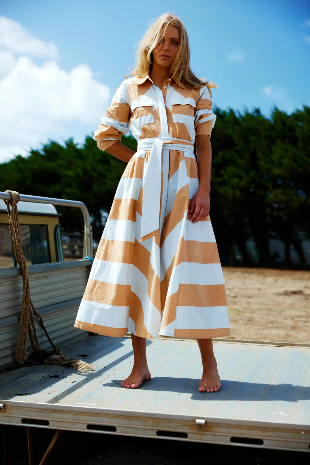 Chestnuts Dress