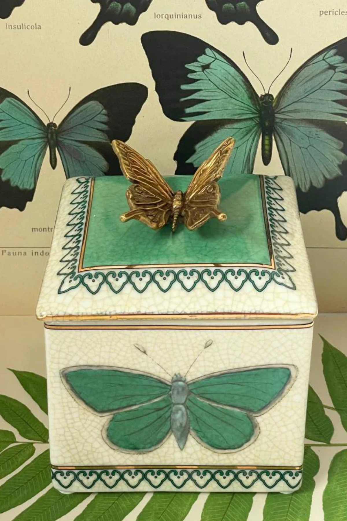 Entomologie Trinket Box Mariposa