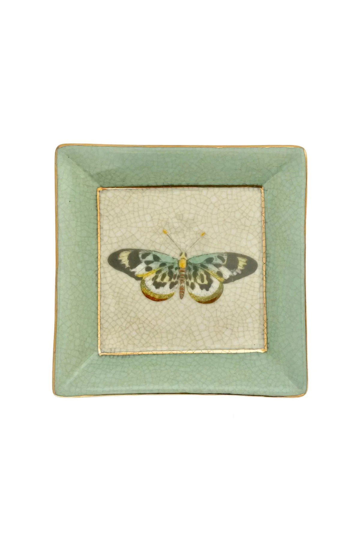 Exotico Wall Plate Mariposa