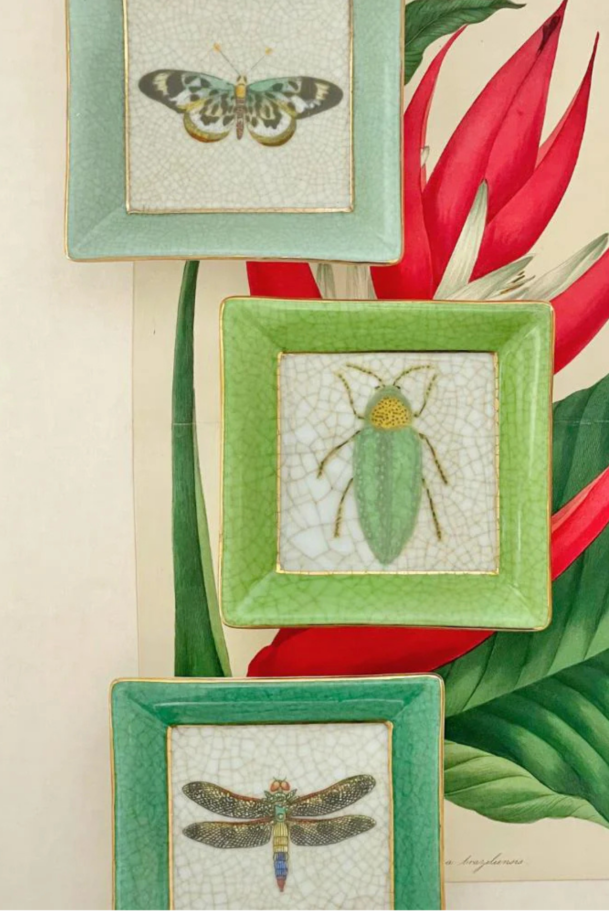 Exotico Wall Plate Mariposa