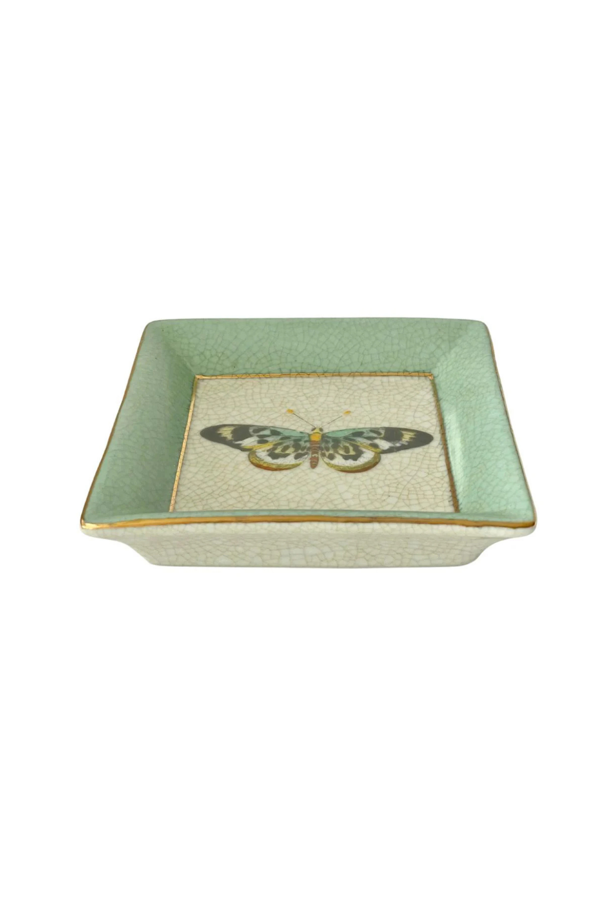 Exotico Wall Plate Mariposa