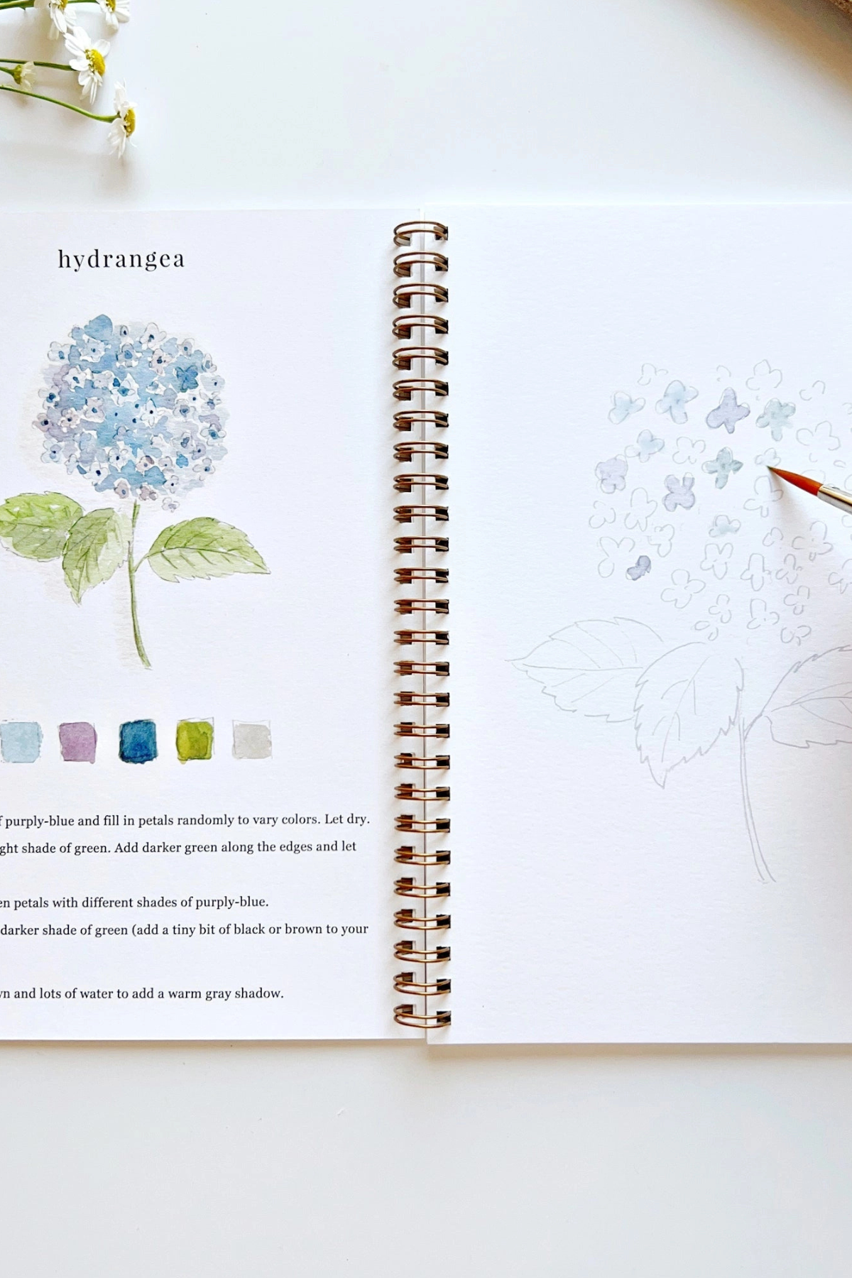 Flowers Watercolor Workbook