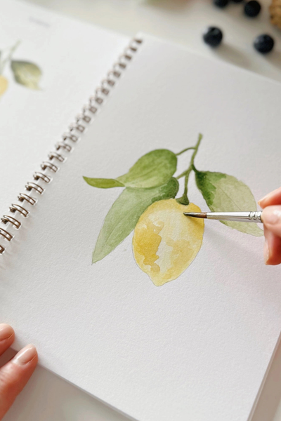 Fruit Watercolor Workbook
