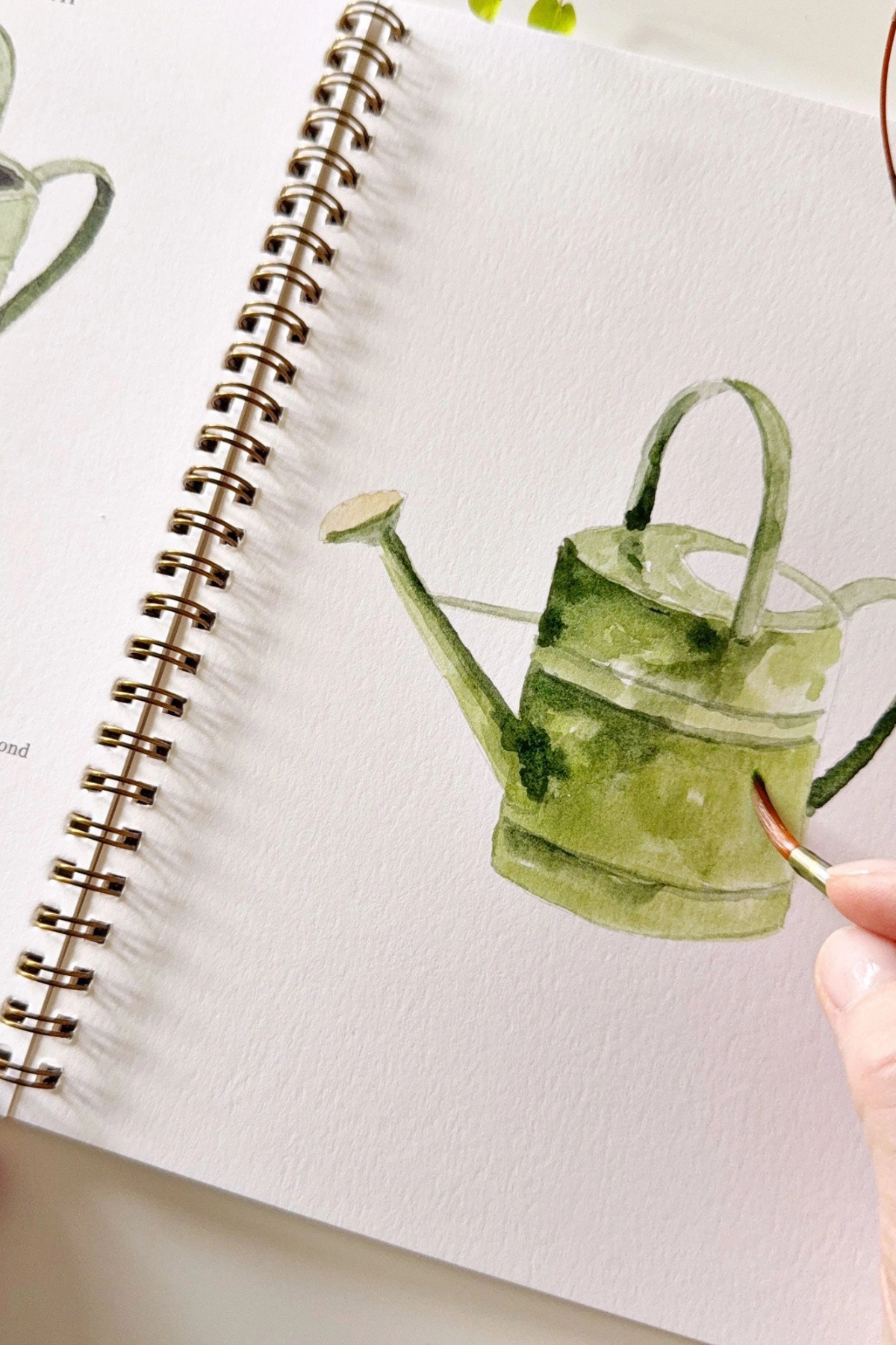 Garden Watercolor Workbook