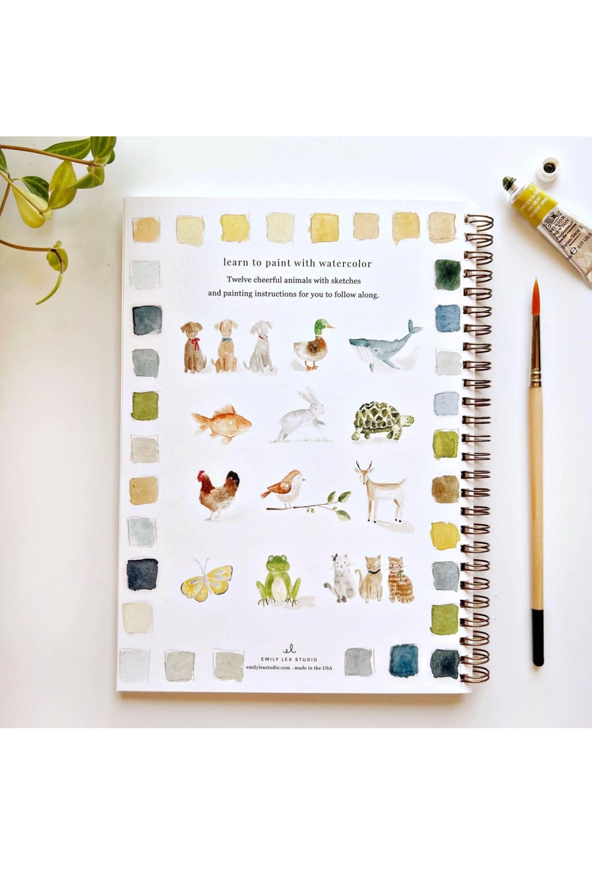 Animals Watercolour Workbook