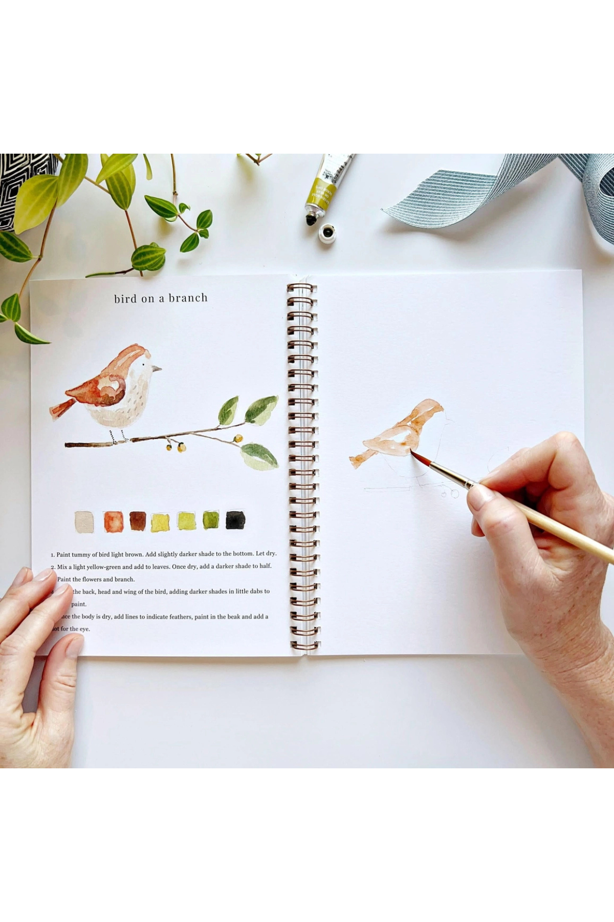 Animals Watercolour Workbook