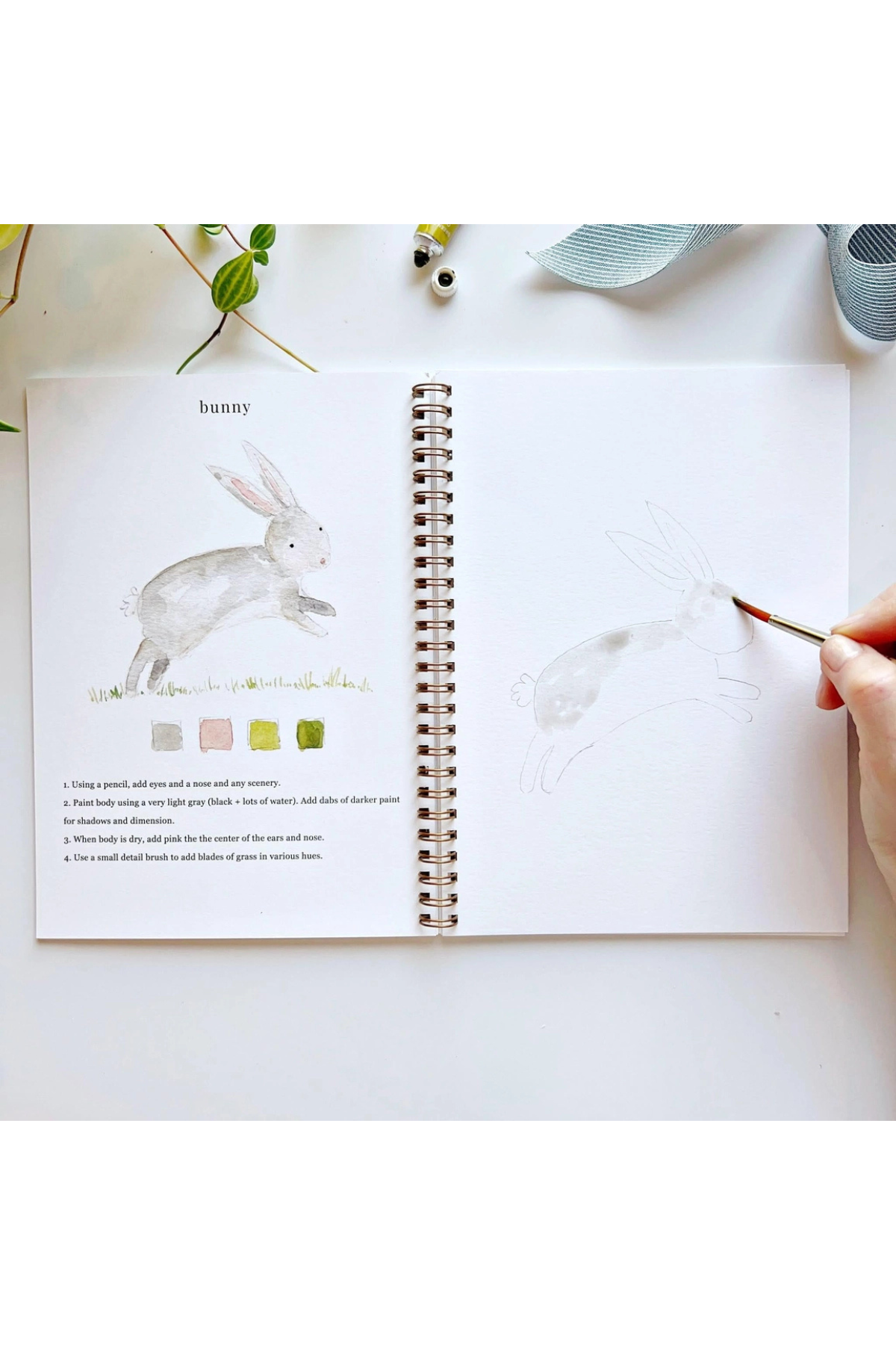 Animals Watercolour Workbook
