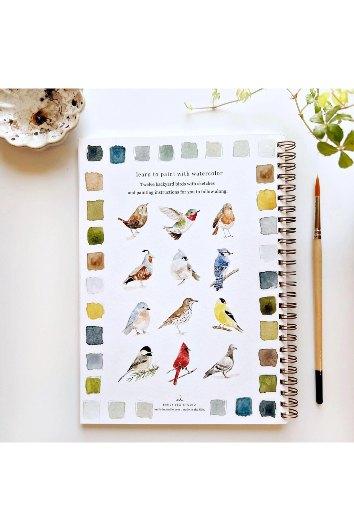 Birds Watercolour Workbook