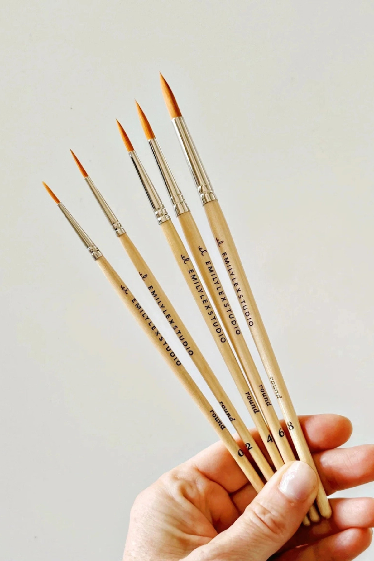 Watercolour Paintbrush Set of Five Wood