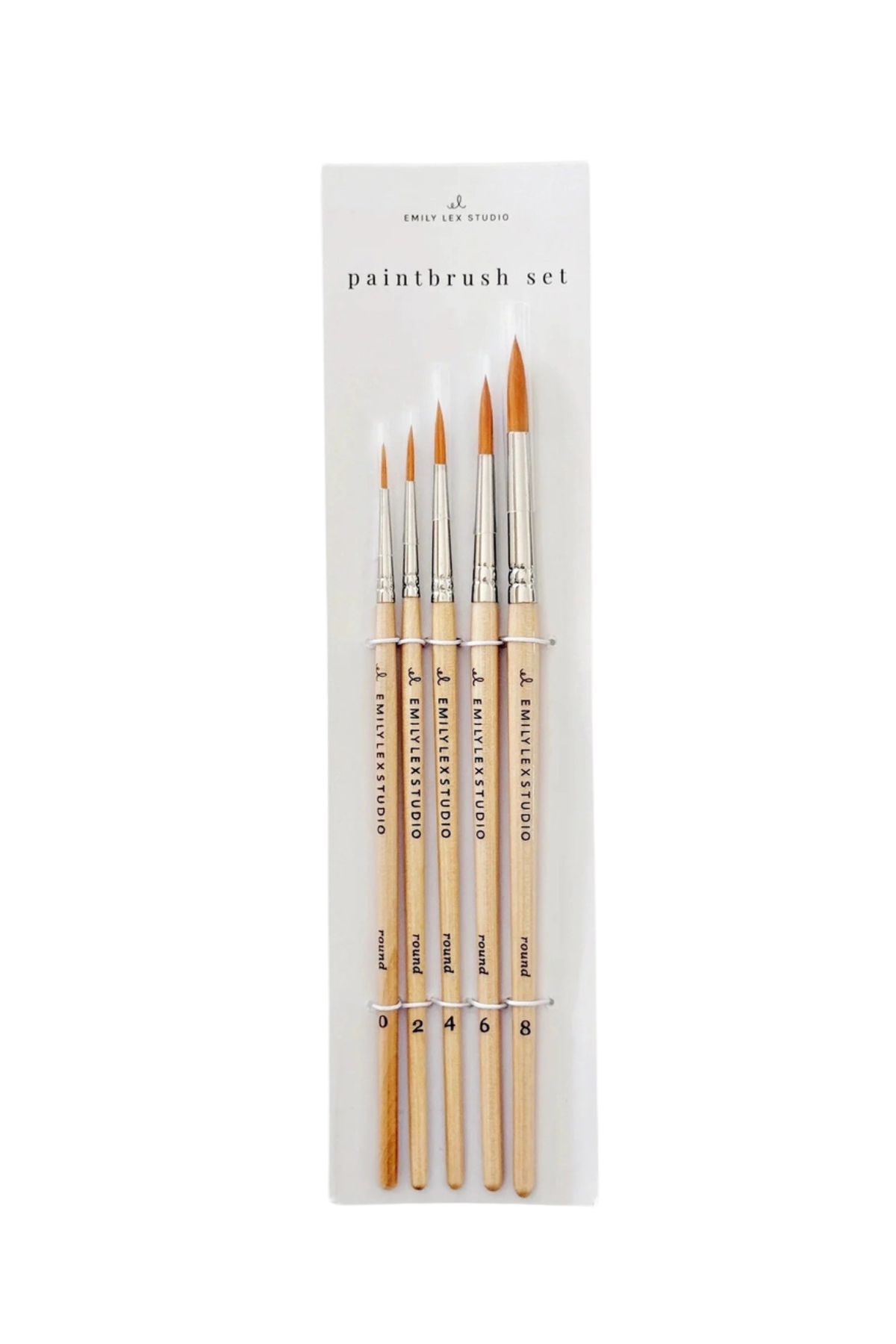 Watercolour Paintbrush Set of Five Wood