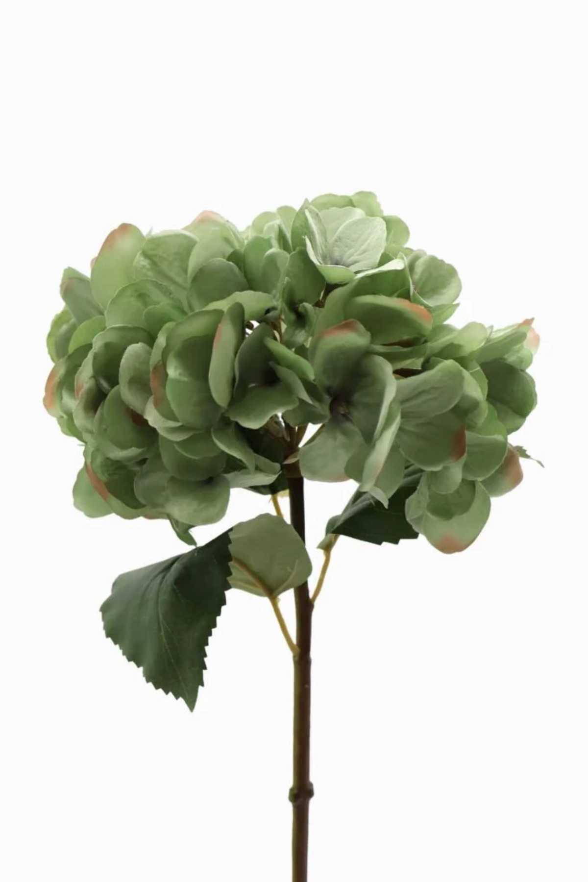 Hydrangea Stem Blue Green 52cm