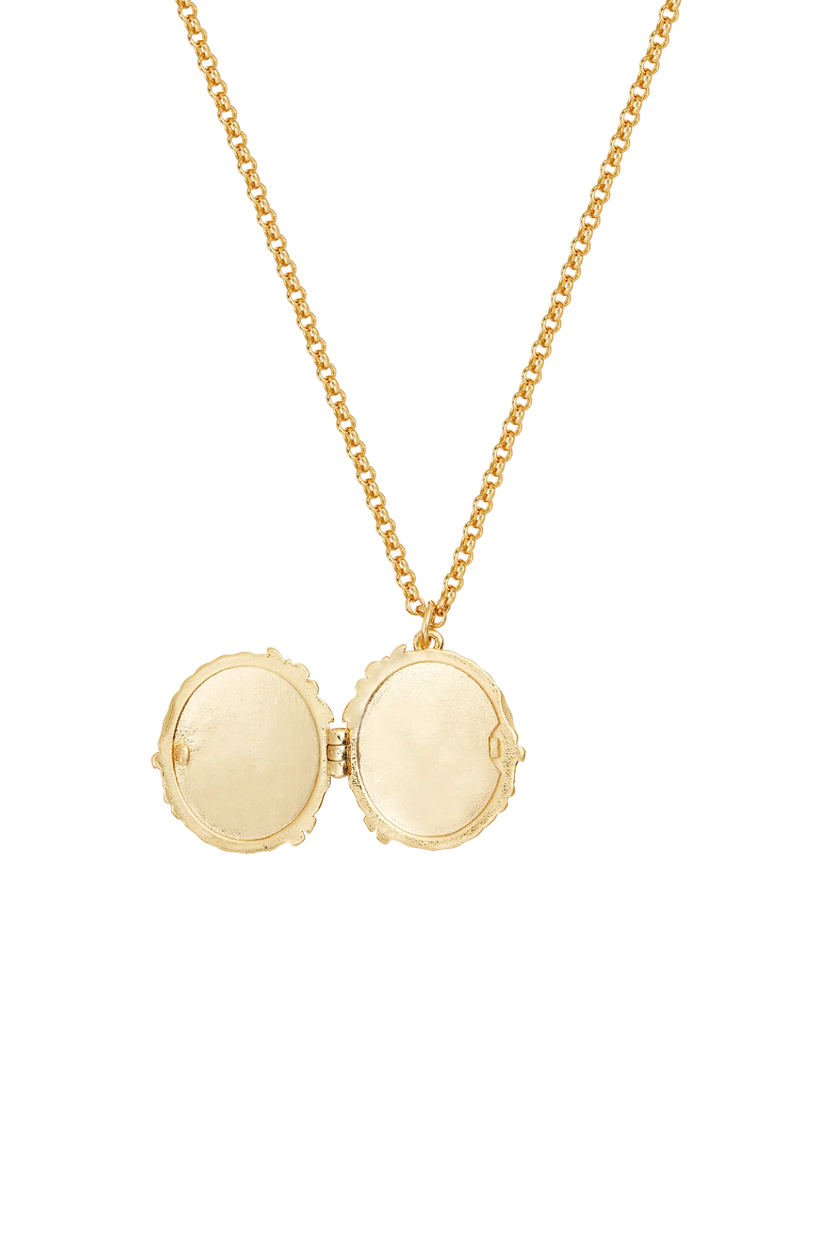 Peter Rabbit Cameo Locket Necklace